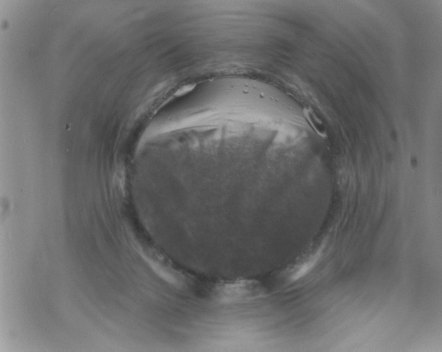 X0000073890072200609082133