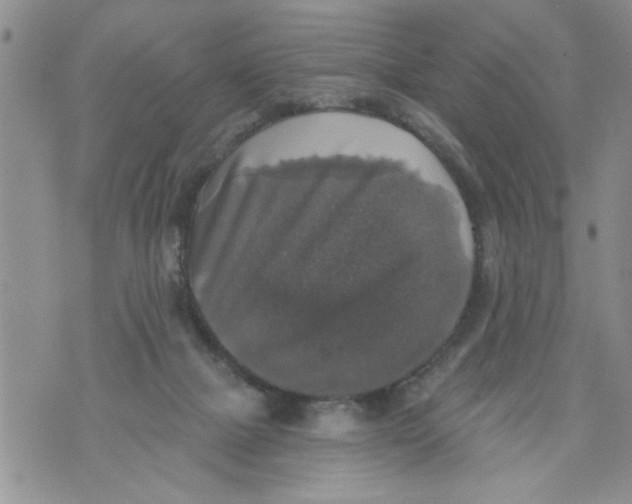 X0000073890073200609082133