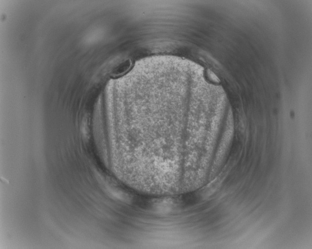 X0000073890074200609082133