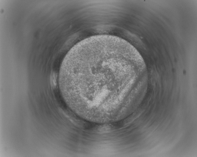 X0000073890075200609082133