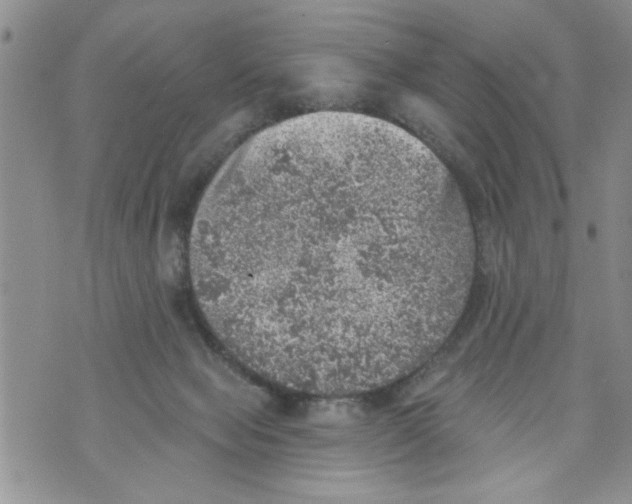 X0000073890077200609082133