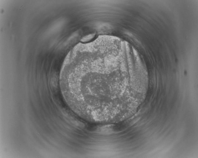 X0000073890078200609082133