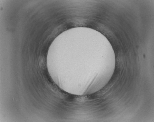 X0000073890079200609082133