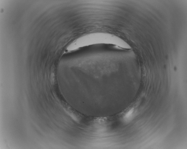 X0000073890080200609082133