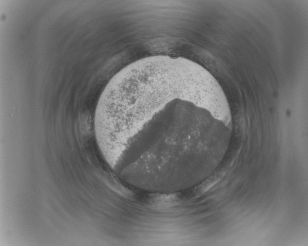 X0000073890081200609082133