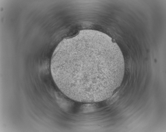 X0000073890082200609082133