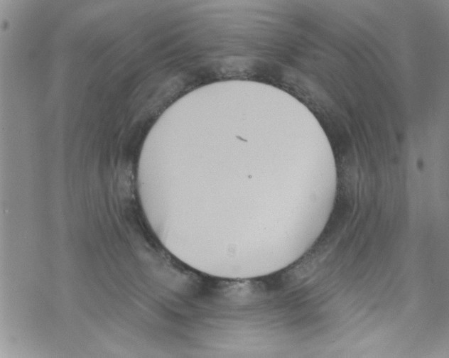 X0000073890083200609082133