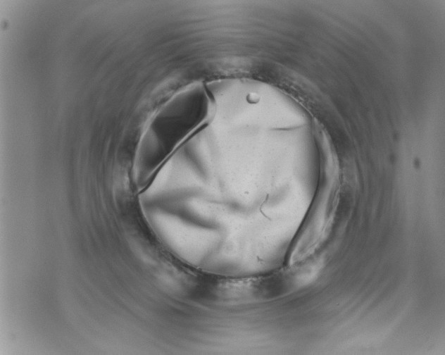 X0000073890084200609082133