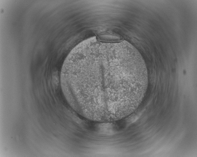 X0000073890085200609082133