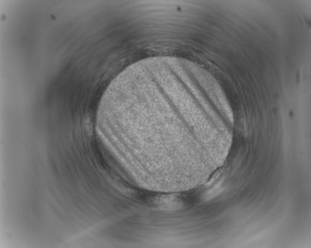 X0000073890086200609082133