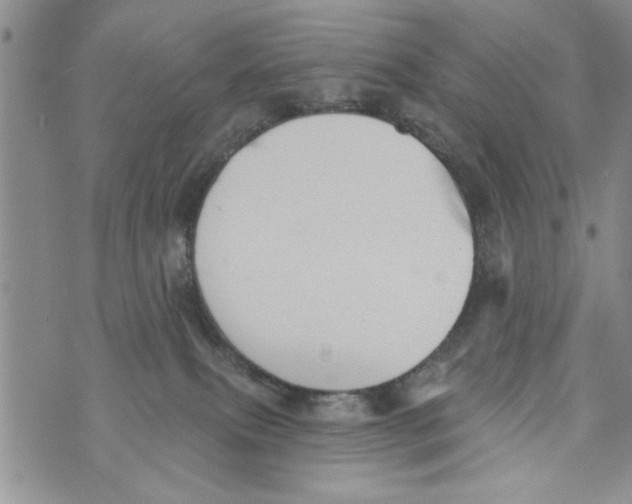 X0000073890087200609082133