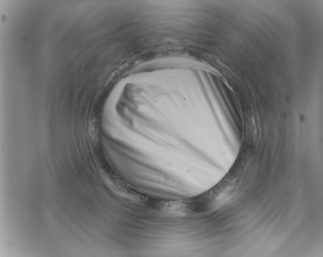 X0000073890088200609082133