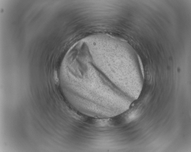 X0000073890089200609082133