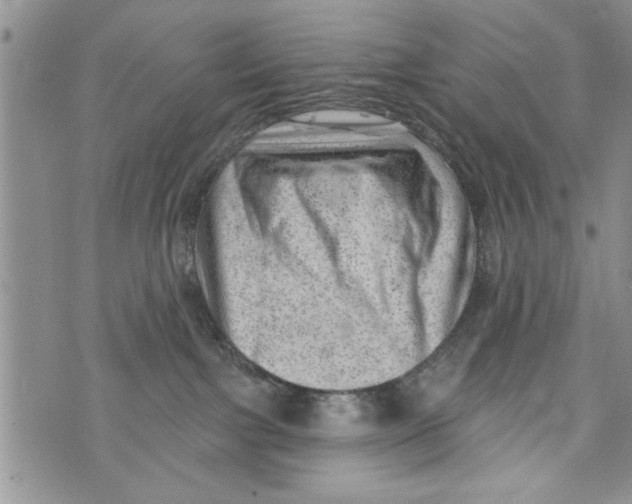 X0000073890091200609082133