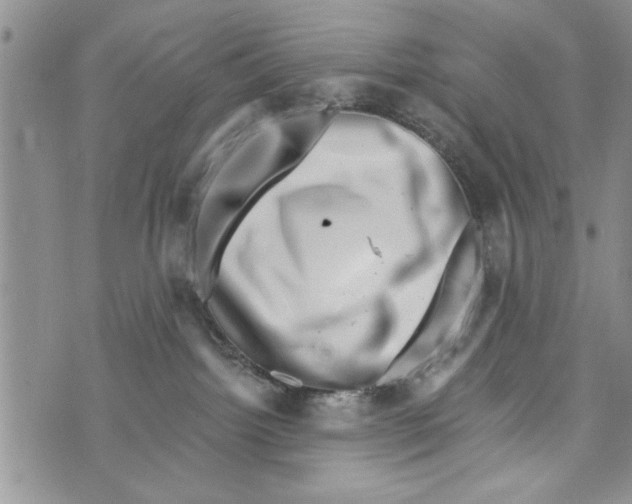 X0000073890092200609082133