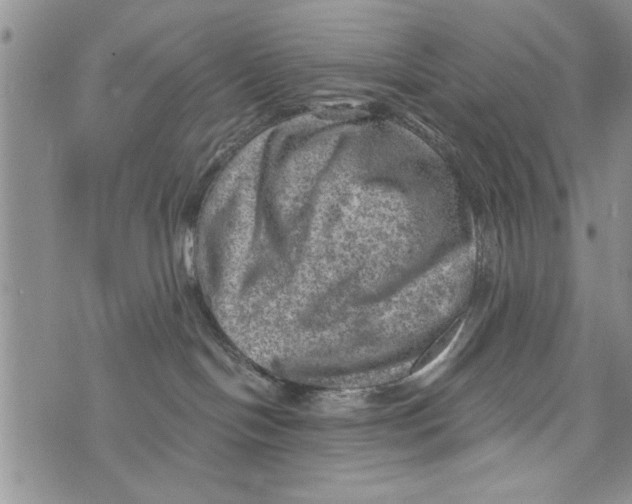 X0000073890094200609082134