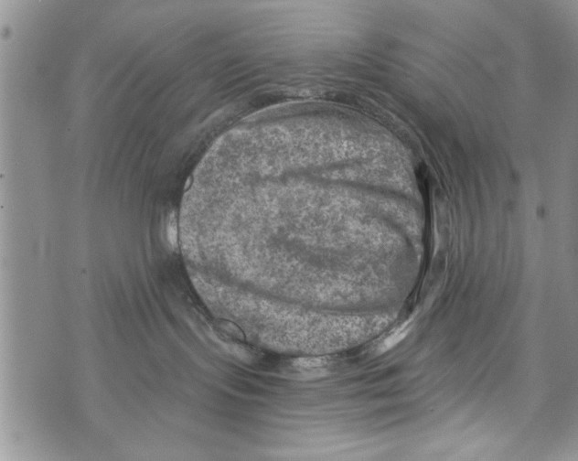 X0000073890095200609082134