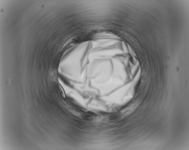 X0000073890096200609082134