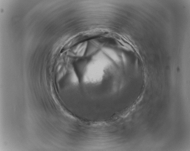 X0000073890097200609082133