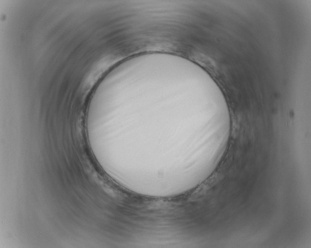 X0000073890098200609082133