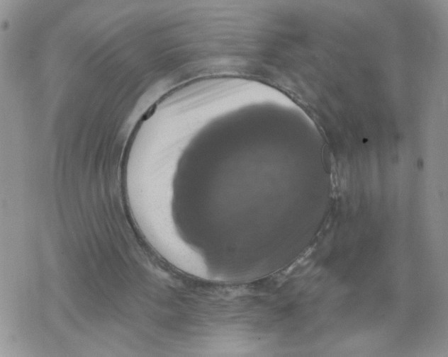 X0000073890099200609082133