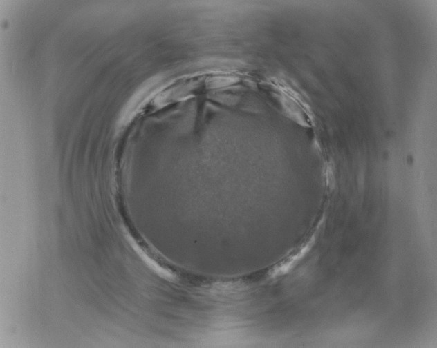 X0000073890101200609082133