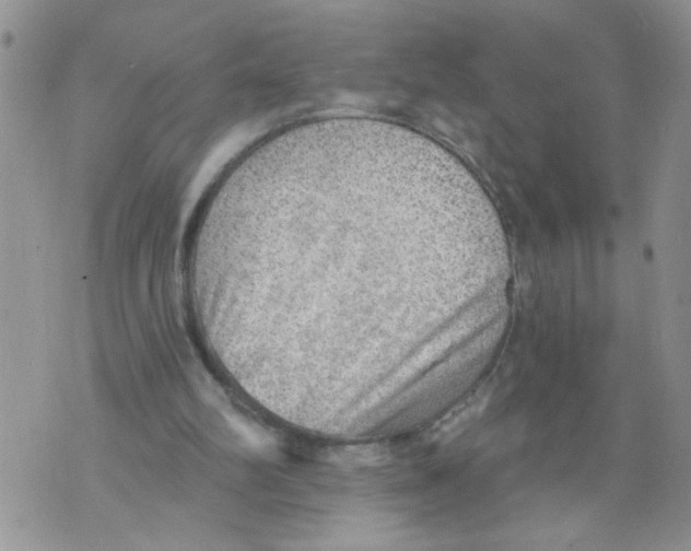 X0000073890102200609082133