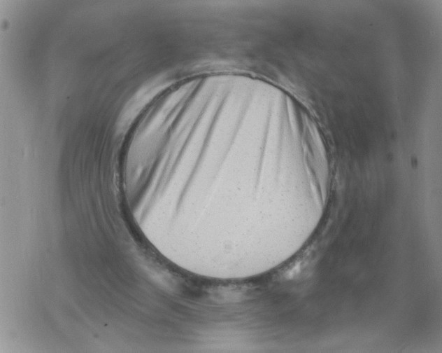 X0000073890103200609082133