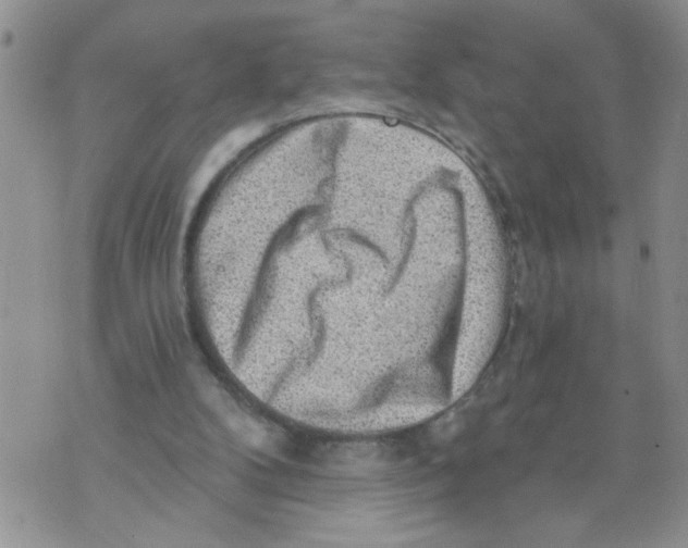 X0000073890104200609082133