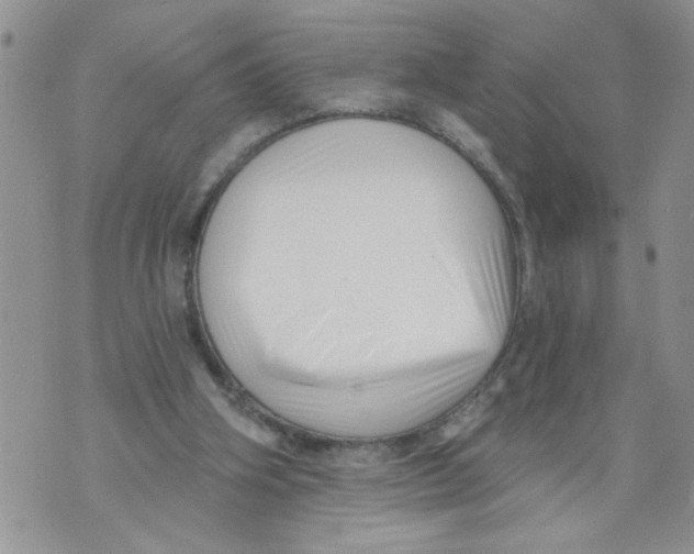 X0000073890106200609082133