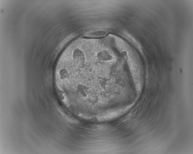 X0000073890107200609082133