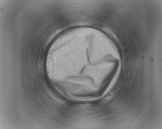 X0000073890108200609082133