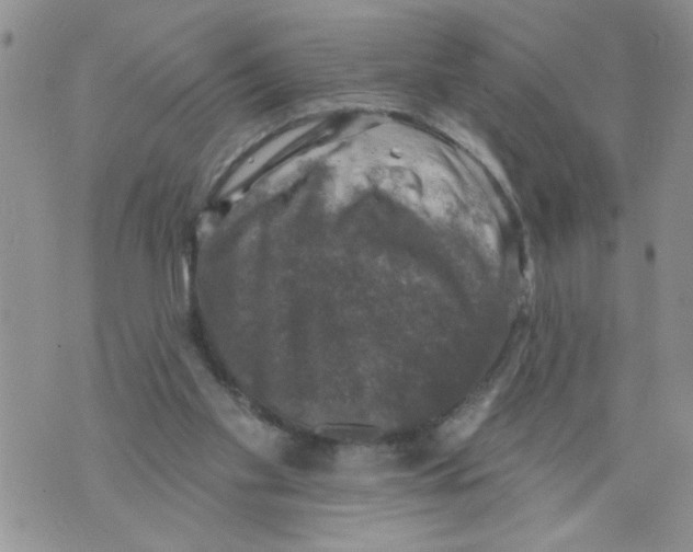 X0000073890109200609082133