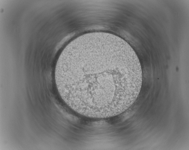 X0000073890112200609082133