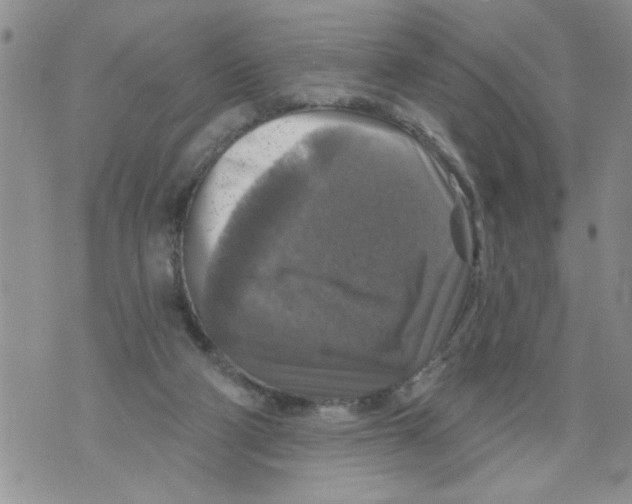 X0000073890114200609082133