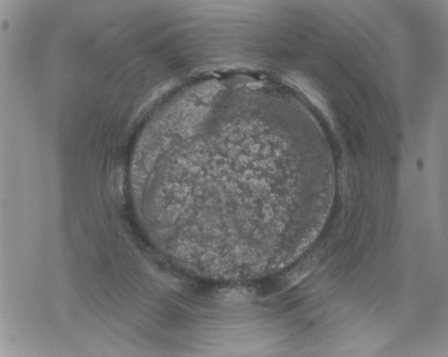 X0000073890115200609082132