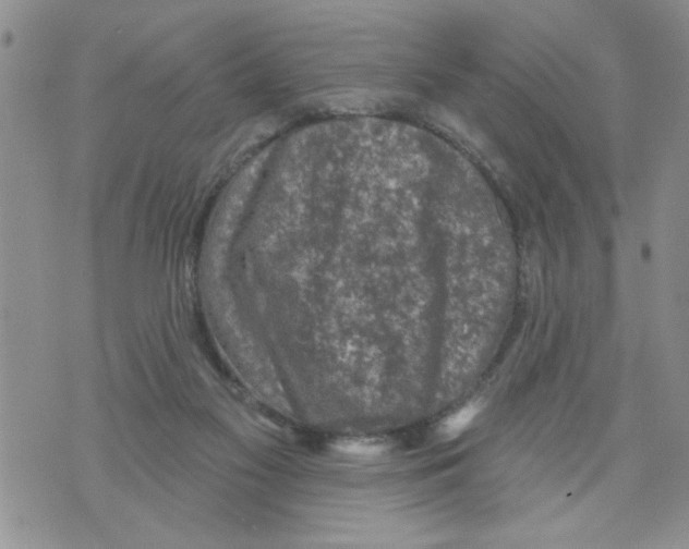 X0000073890117200609082132