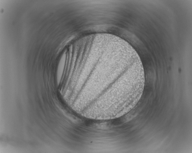 X0000073890120200609082132