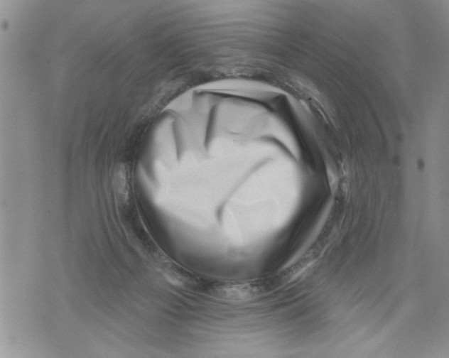 X0000073890121200609082132