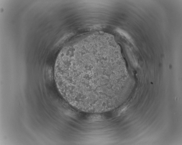 X0000073890123200609082132