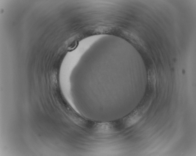 X0000073890127200609082132