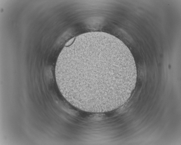 X0000073890128200609082132