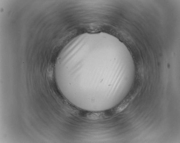 X0000073890129200609082132