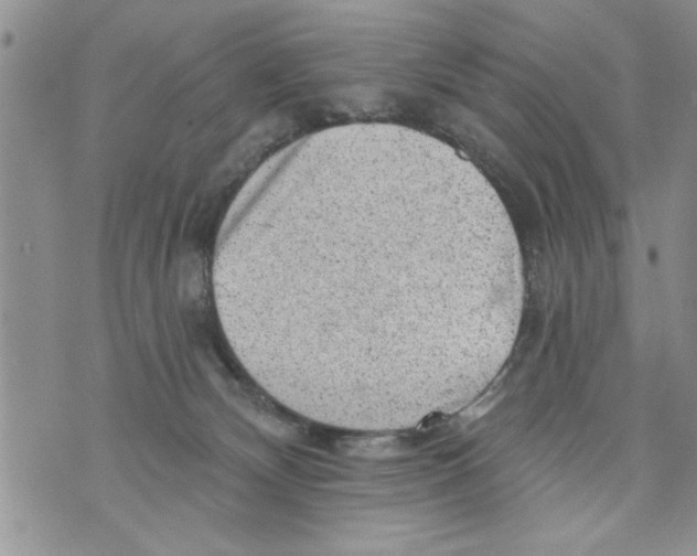 X0000073890132200609082132