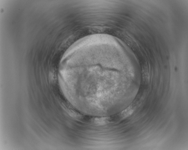 X0000073890134200609082132