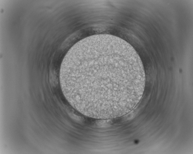 X0000073890136200609082132