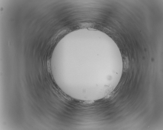 X0000073890138200609082132