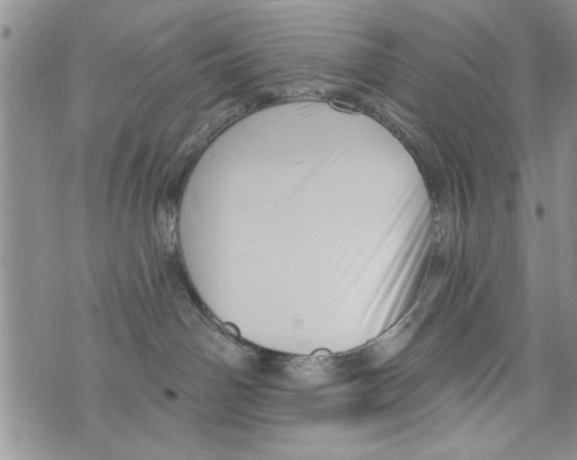 X0000073890142200609082132