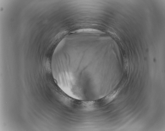 X0000073890143200609082132