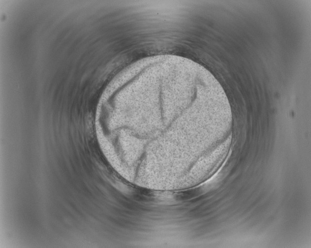 X0000073890144200609082132